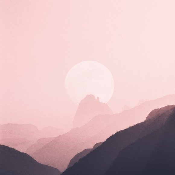 Meet your Posher, Emily - Picture 1 of 2